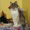 Отзыв от Динара Носкова
